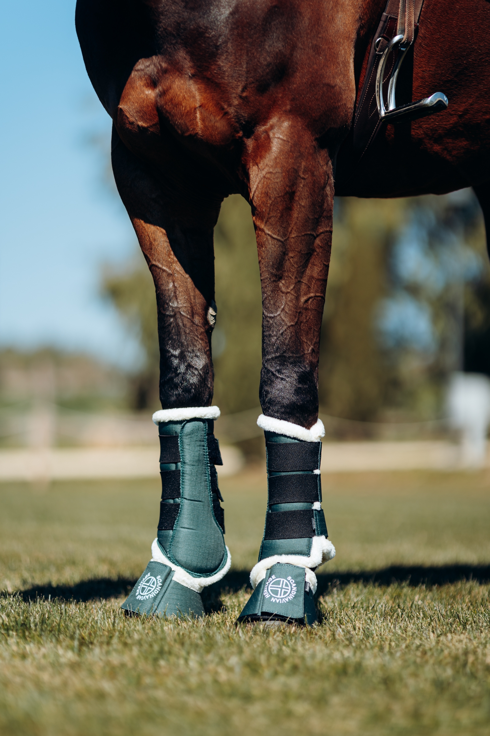 Horze Oslo putsit tekoturkiksella