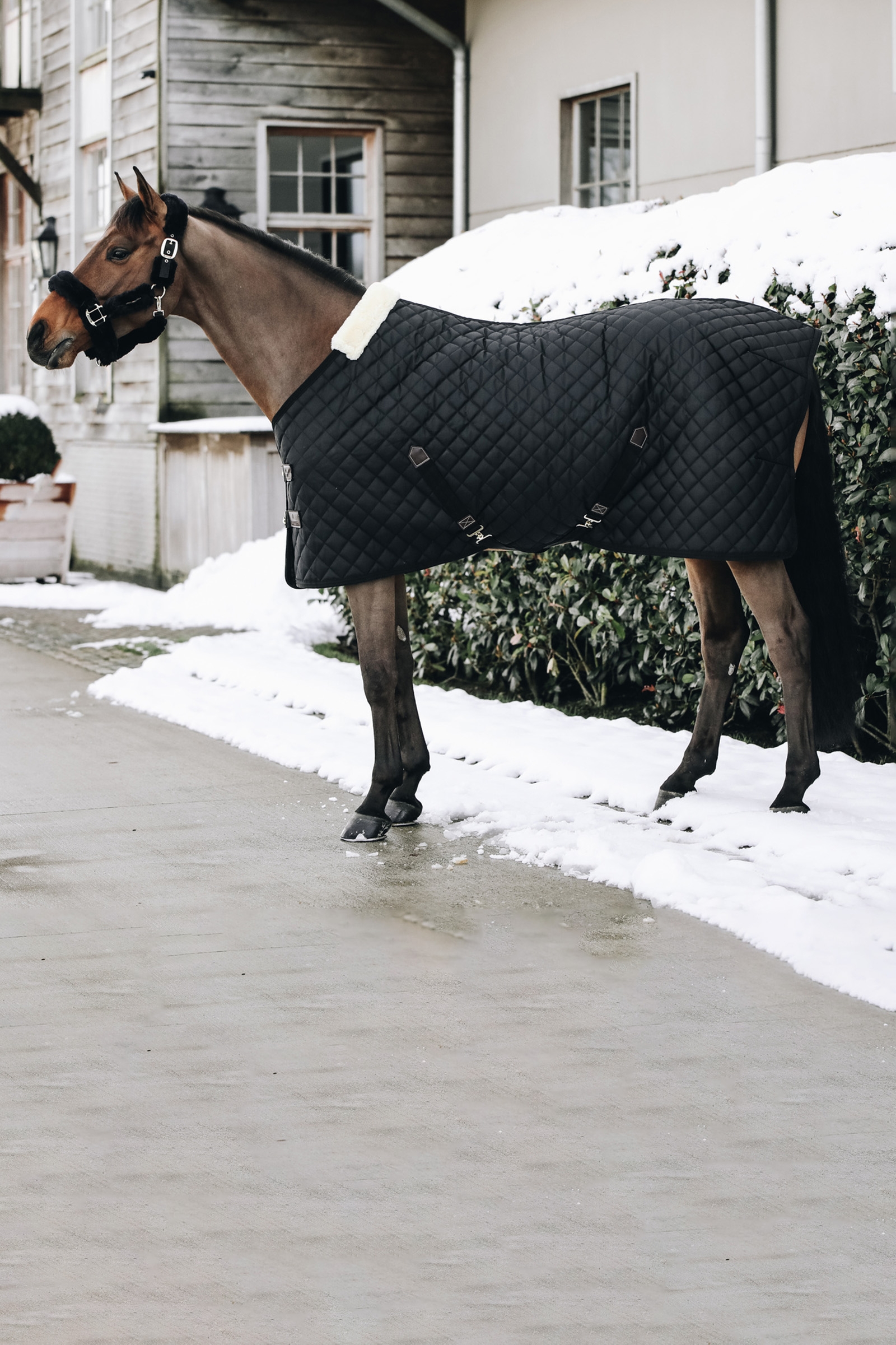 Kentucky Horsewear talliloimi, 400 g