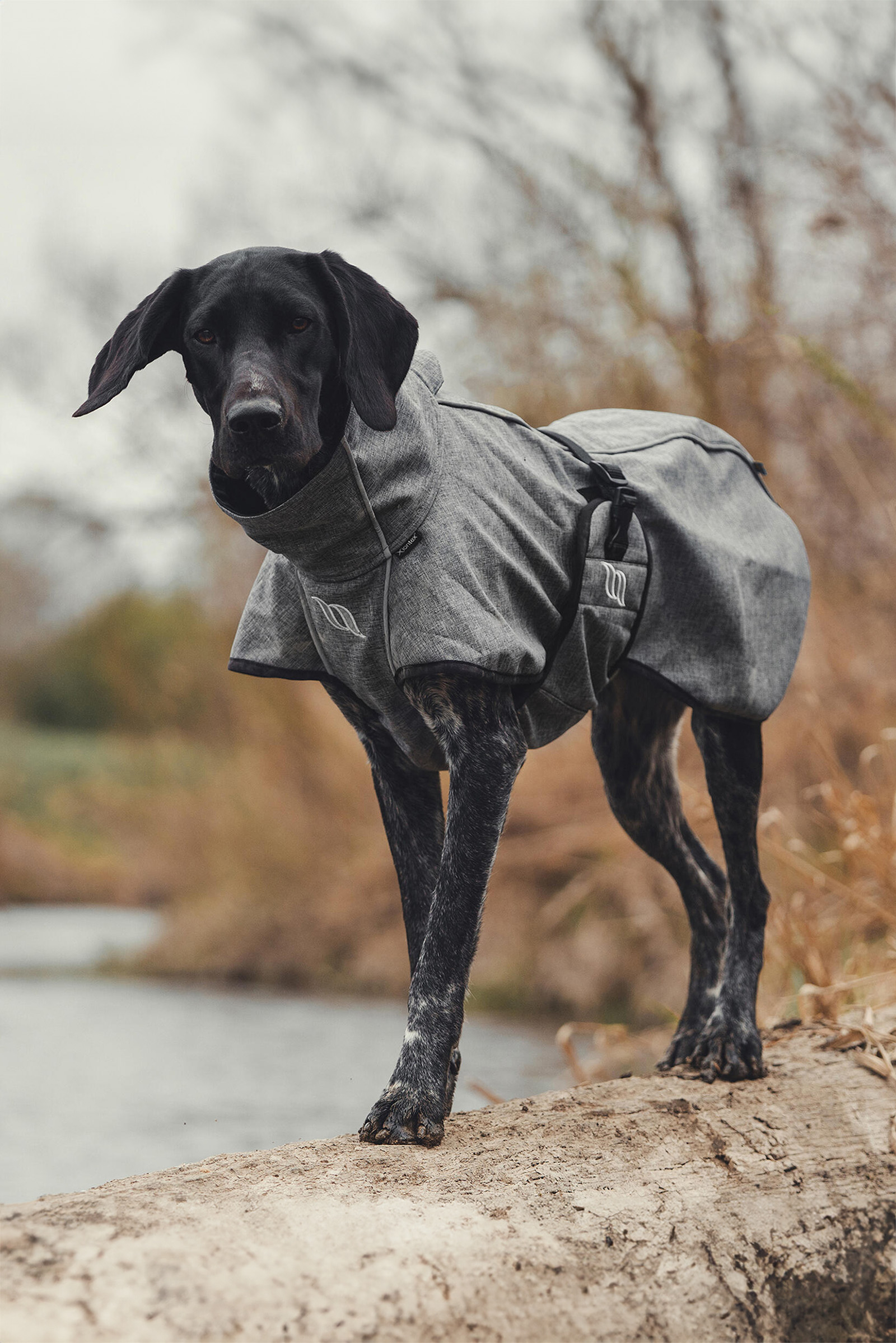 Back on Track Bark All-Round Dog Coat, 40-50cm